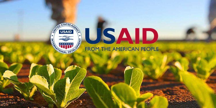 USAID Financia Seguro Para Proteger Pequenos Produtores Agrícolas das mMudanças Climáticas em Moçambique 