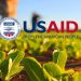 USAID Financia Seguro Para Proteger Pequenos Produtores Agrícolas das mMudanças Climáticas em Moçambique 