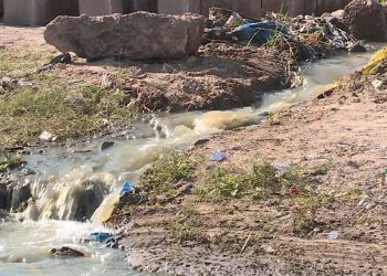 Uso de Água Poluída para Irrigação de Hortícolas Consumidas em Maputo Ameaça Saúde Pública