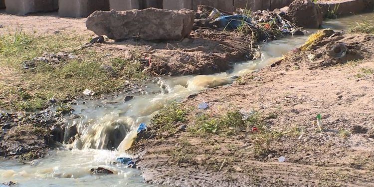 Uso de Água Poluída para Irrigação de Hortícolas Consumidas em Maputo Ameaça Saúde Pública