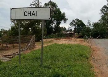 Insurgentes Intensificam Ataques ao Longo da Estrada Nacional Número 380