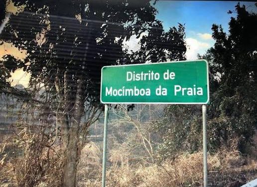 Insurgentes Intensificam Actividades em Mocímboa da Praia sem Resposta das Forças de Segurança