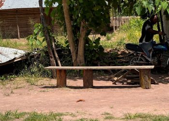 Insurgentes matam agente da UIR e raptam crianças em Mocímboa da Praia