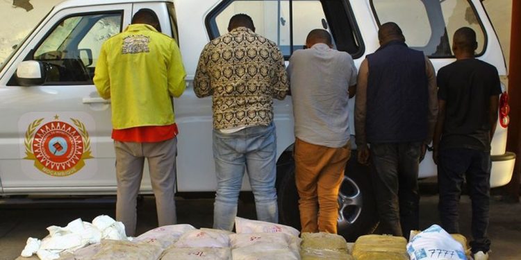 Regional Drug Routes Shift as Domestic Impact Grows, Authorities Say