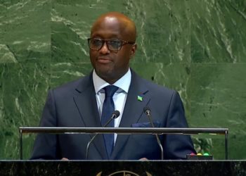Rwandan Dealing Directly with Mozambique, says Foreign Minister