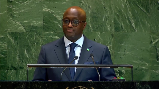 Rwandan Dealing Directly with Mozambique, says Foreign Minister