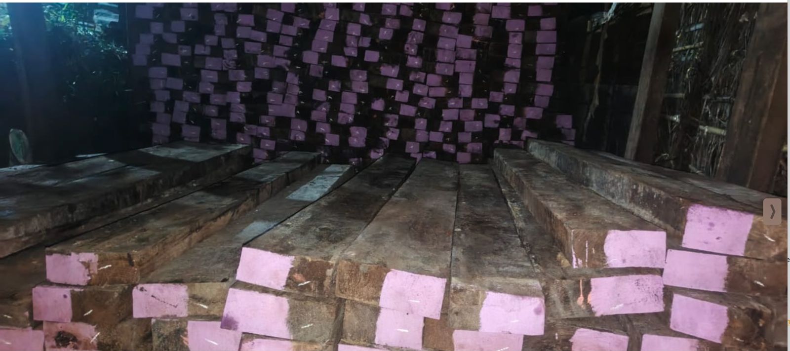 Intelligence Operation Intercepts Nighttime Timber Smuggling from Mocímboa da Praia to Tanzania