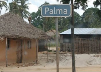 Corpo sem vida encontrado com sinais de decapitação gera medo no distrito de Palma