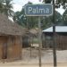 Corpo sem vida encontrado com sinais de decapitação gera medo no distrito de Palma