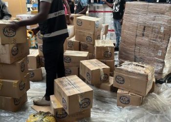 3.7 Tonnes of Fentanyl Seized at Maputo Airport