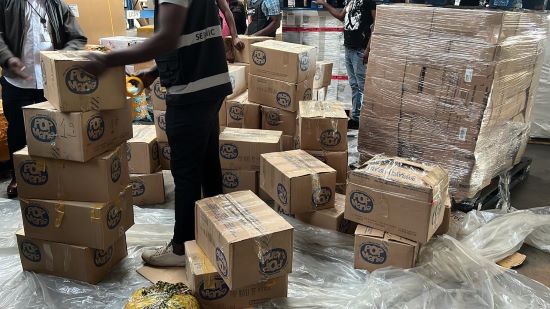 3.7 Tonnes of Fentanyl Seized at Maputo Airport