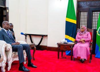 Transport and tourism critical for strengthening cooperation with Tanzania – Chapo