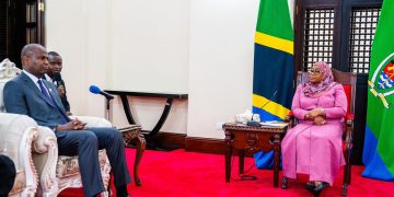 Transport and tourism critical for strengthening cooperation with Tanzania – Chapo