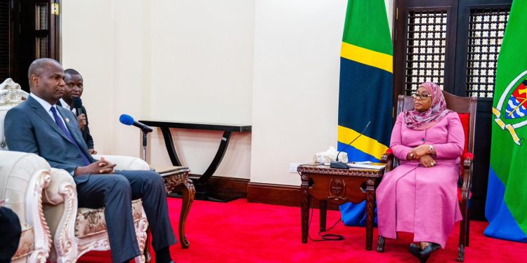 Transport and tourism critical for strengthening cooperation with Tanzania – Chapo