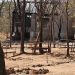 Ataque de insurgentes causa uma morte e deixa rasto de destruição no Niassa